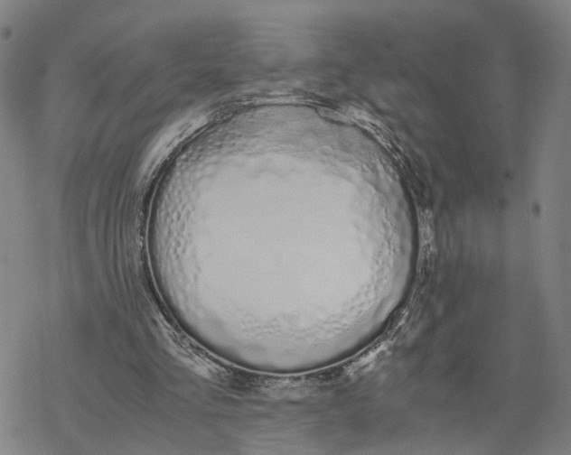 X0000076370293200610271510