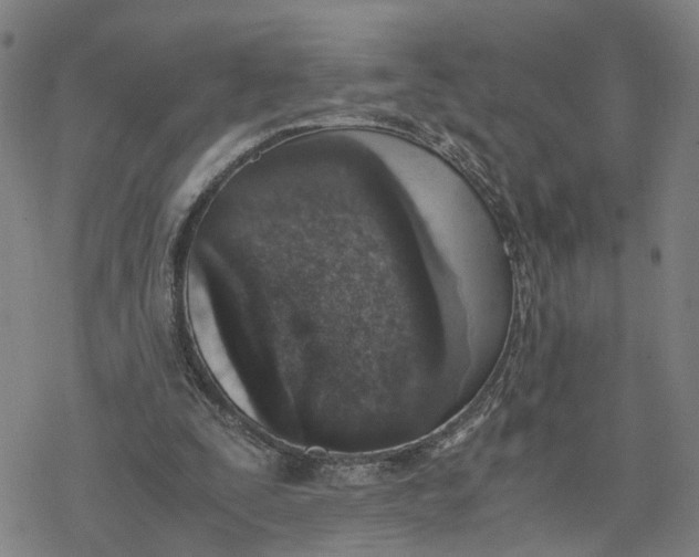 X0000076370295200610271510