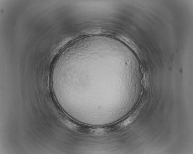 X0000076370301200610271509