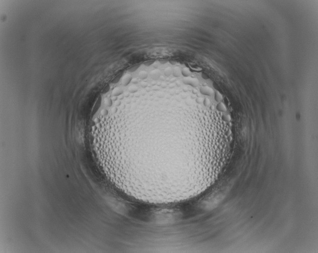 X0000076370315200610271509