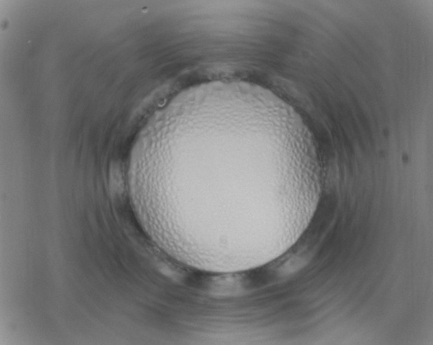X0000076370335200610271509