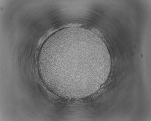 X0000076370337200610271508