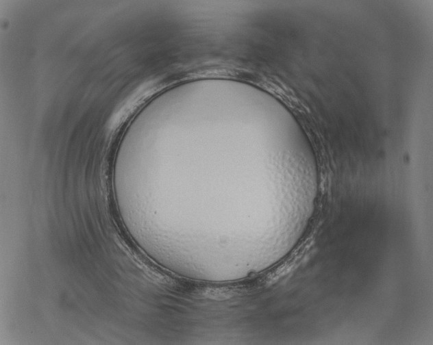 X0000076370341200610271508
