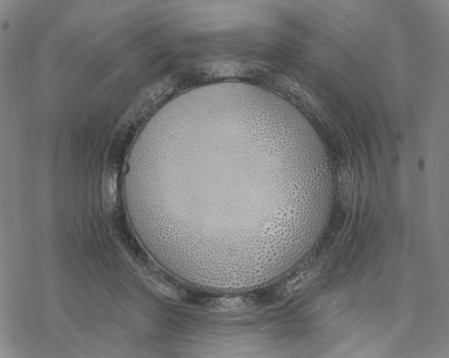 X0000076370406200610271508