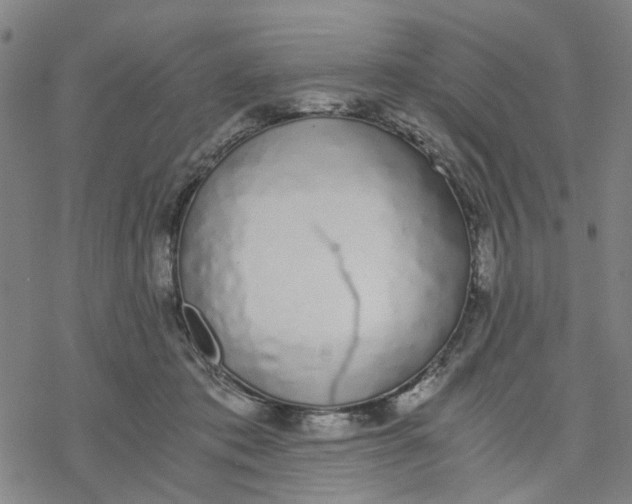 X0000076370413200610271508