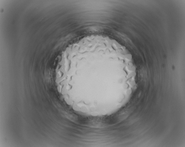 X0000076370423200610271507