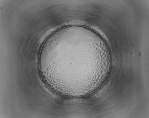 X0000076370437200610271507