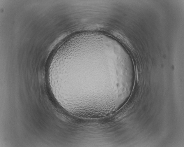 X0000076370483200610271506