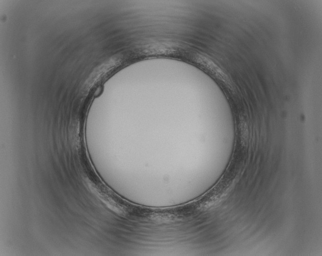 X0000076370490200610271506