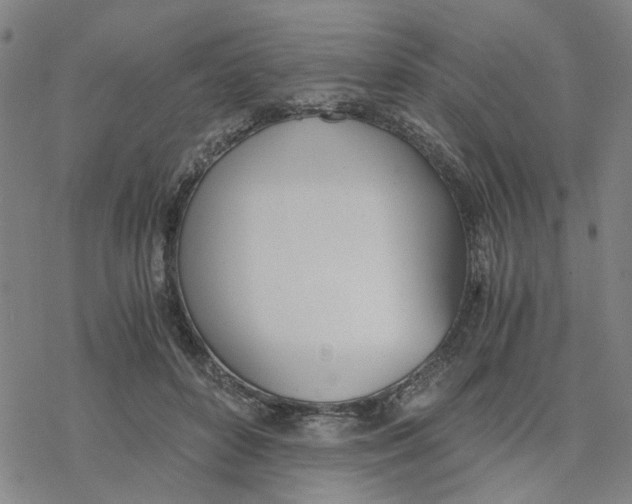 X0000076370504200610271506