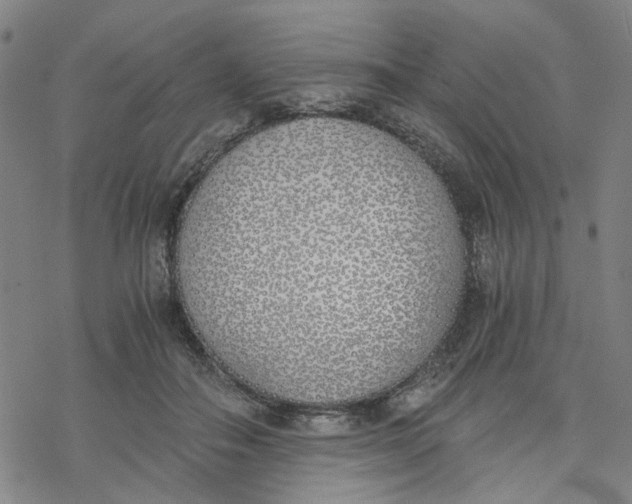 X0000076370506200610271506