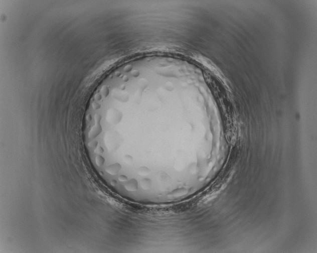 X0000076370577200610271505