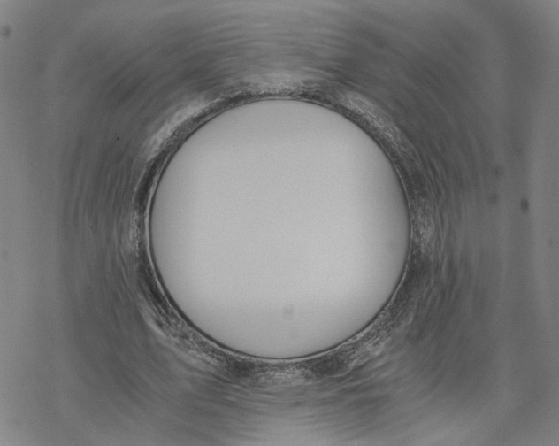 X0000076370583200610271505