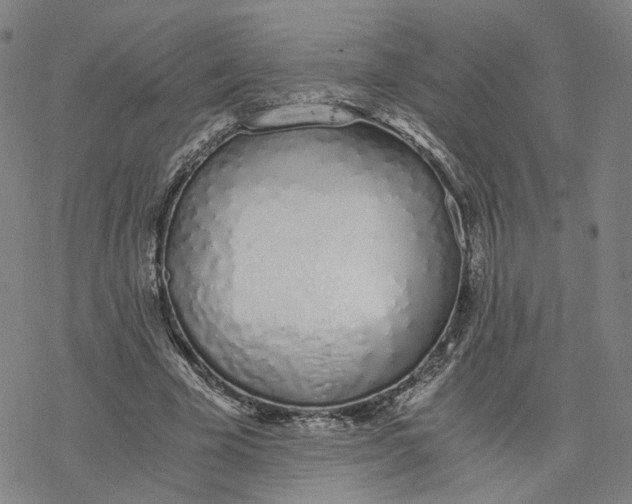 X0000076370585200610271505