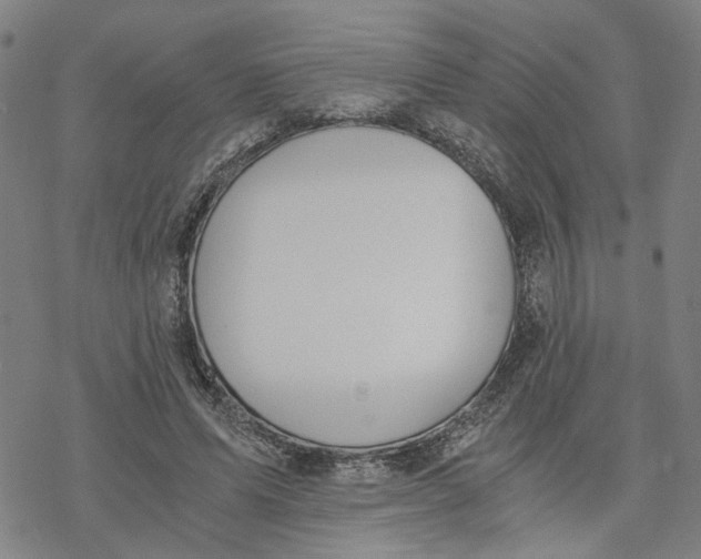 X0000076370591200610271505