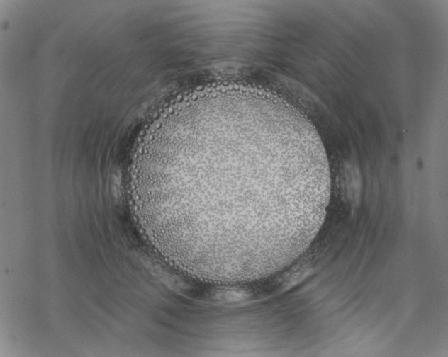 X0000076370610200610271504