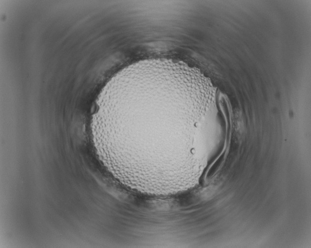 X0000076370615200610271504