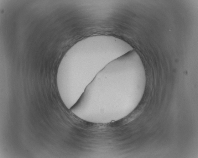 X0000076370624200610271504