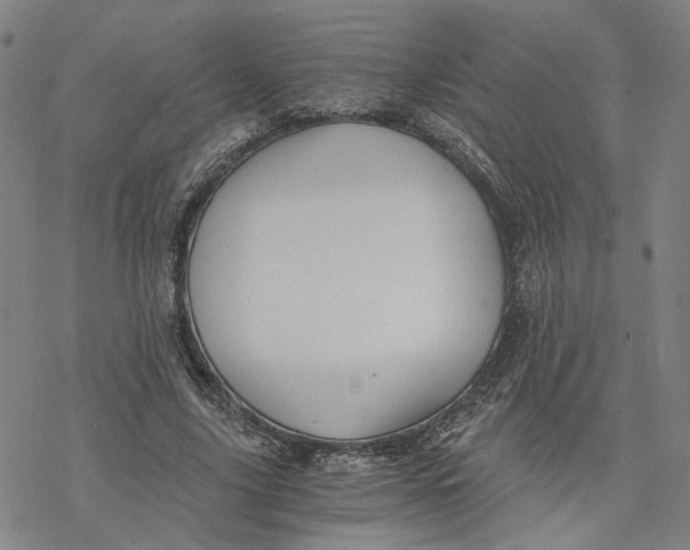 X0000076370635200610271504