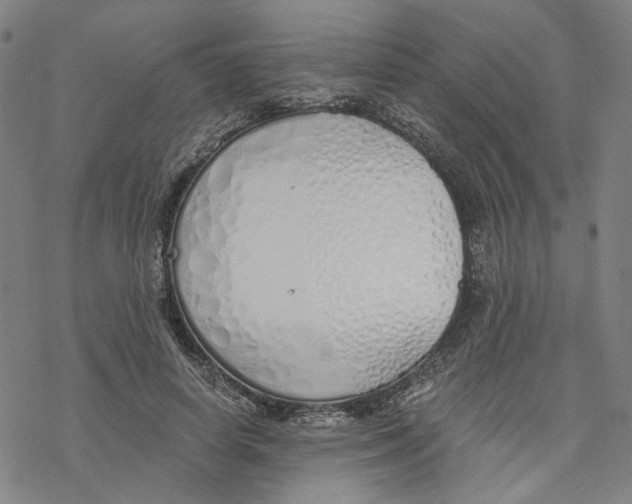 X0000076370642200610271504