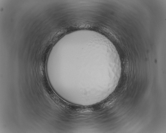 X0000076370643200610271504