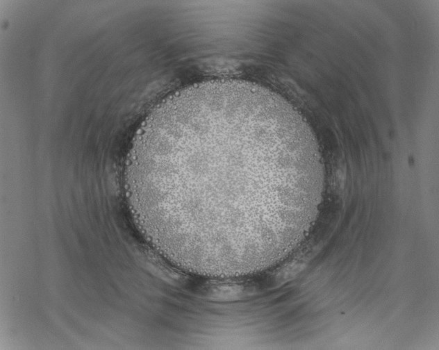 X0000076370658200610271504