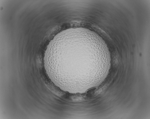 X0000076370661200610271504