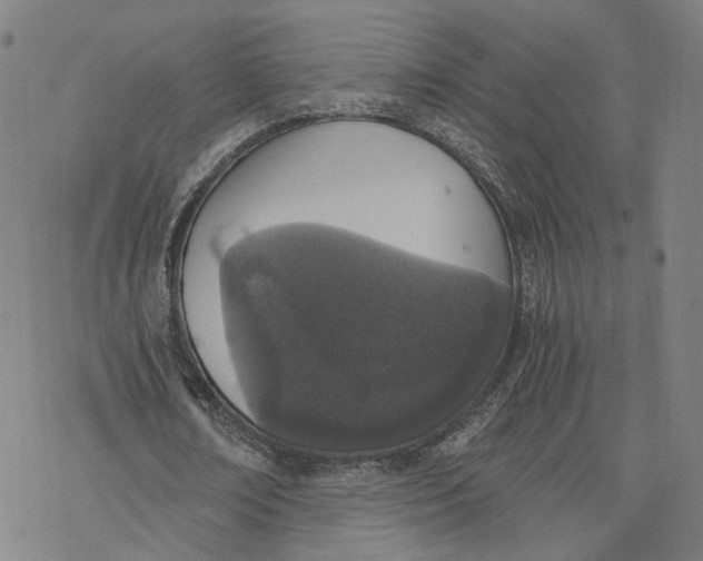 X0000076370674200610271503