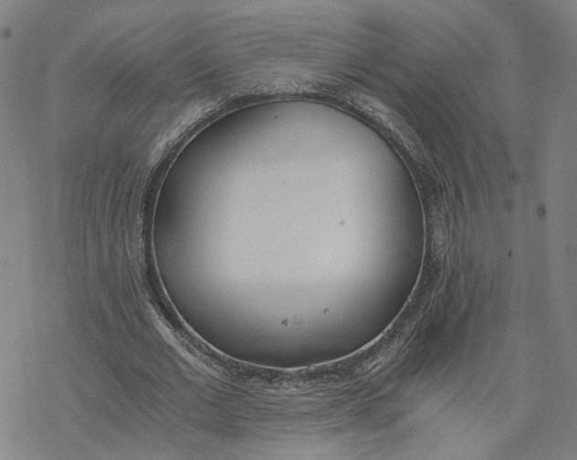 X0000076370677200610271503
