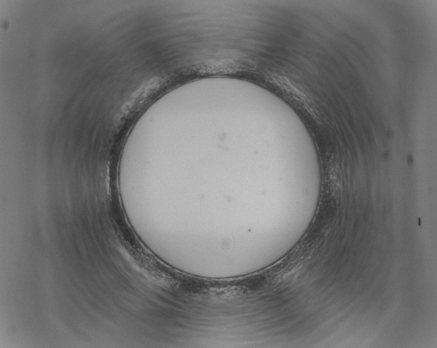 X0000076370686200610271503