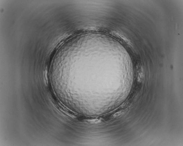 X0000076370692200610271503