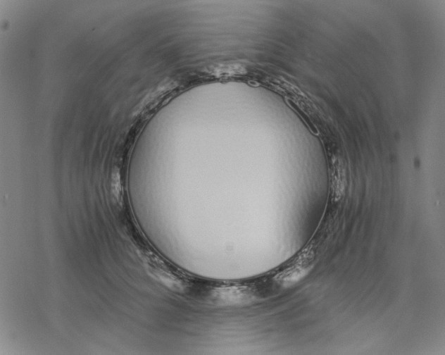 X0000076370704200610271503