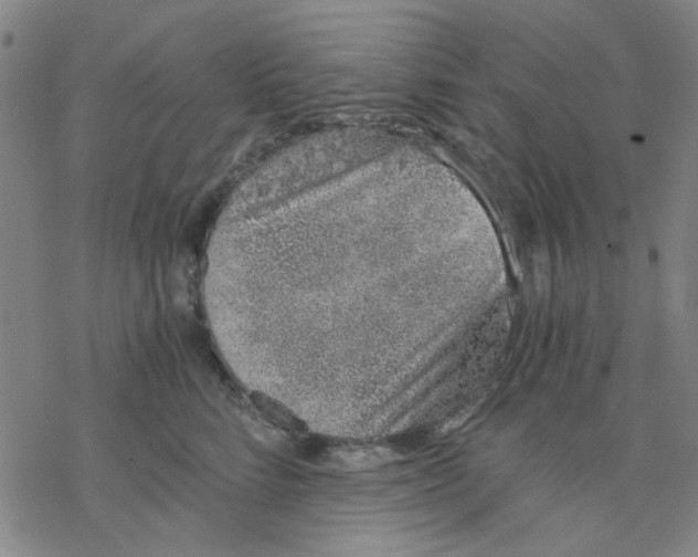 X0000076370712200610271503