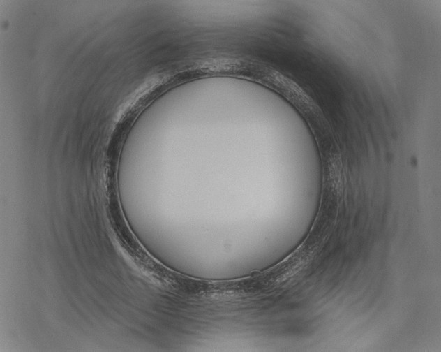 X0000076370730200610271502