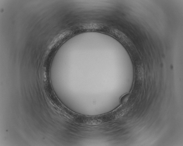 X0000076370731200610271502