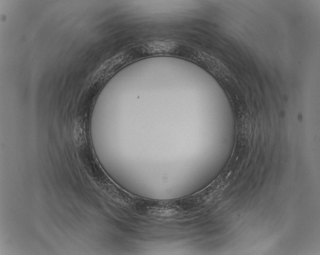 X0000076370743200610271502