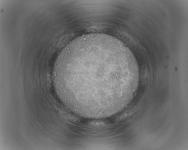 X0000076370749200610271502