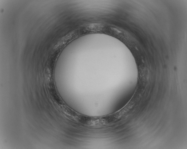 X0000076370752200610271502