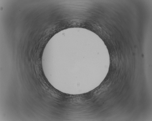 X0000076370769200610271502