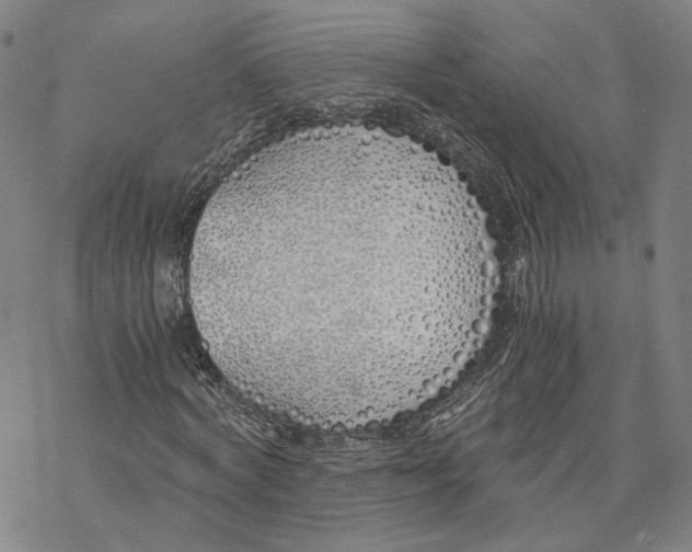 X0000076370772200610271502