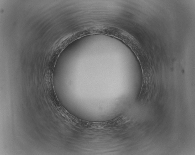 X0000076370773200610271502