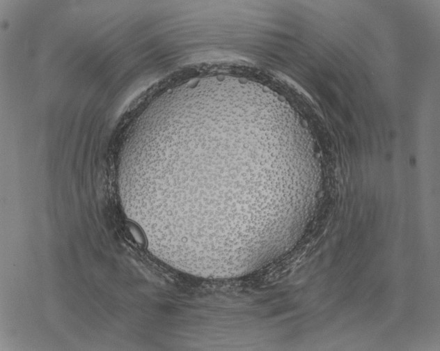 X0000076370775200610271502