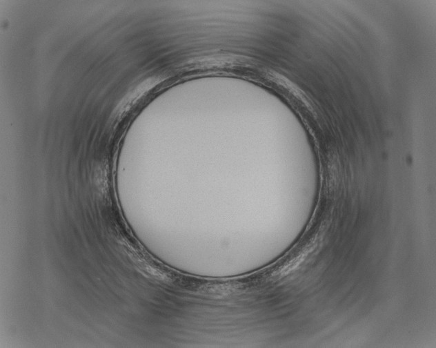 X0000076370778200610271502
