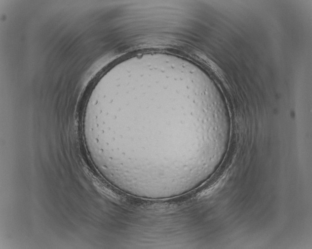 X0000076370779200610271502