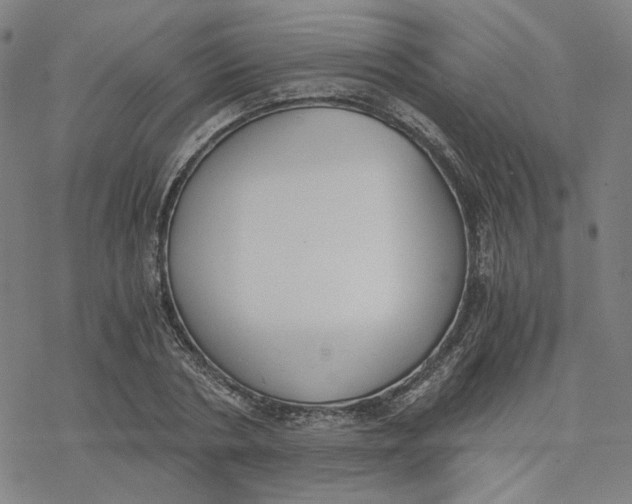 X0000076370786200610271502