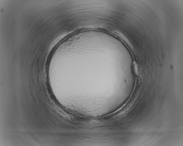 X0000076370787200610271502