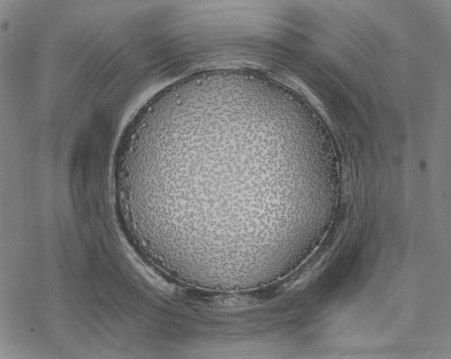 X0000076370795200610271501