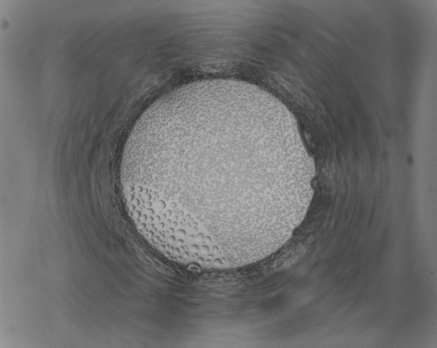 X0000076370817200610271500