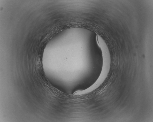 X0000076370818200610271500