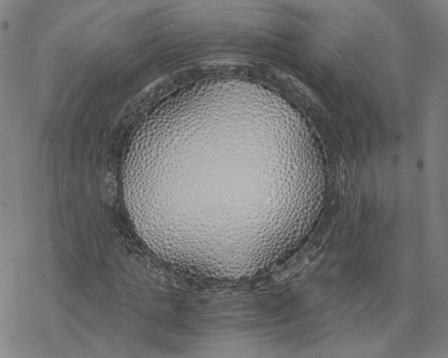 X0000076370821200610271500